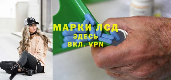 spice Богородицк