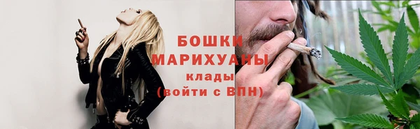 дживик Белокуриха