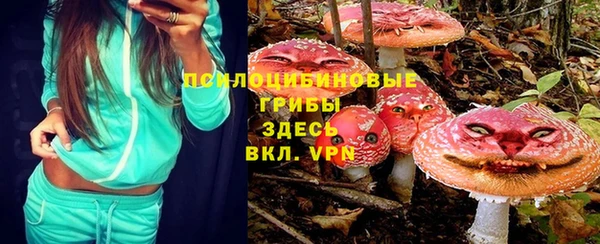 дживик Белокуриха