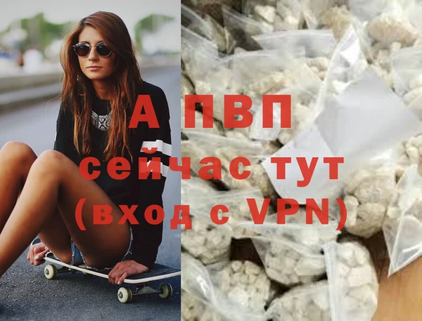 дживик Белокуриха
