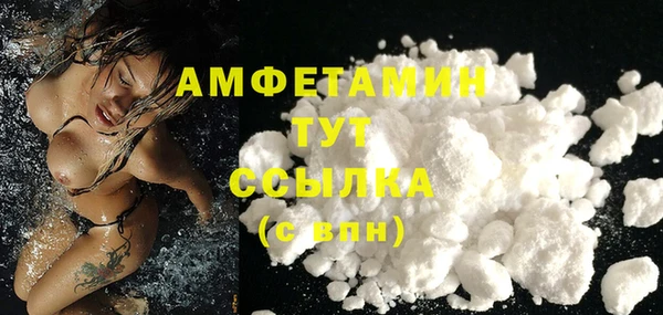 дживик Белокуриха
