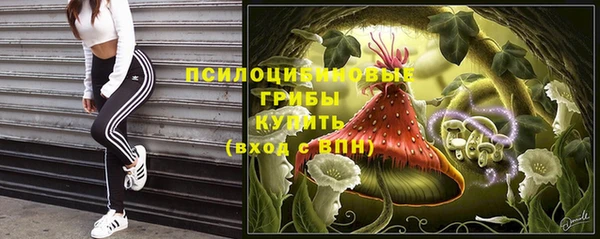 дживик Белокуриха