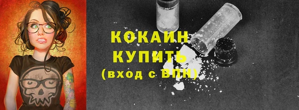 дживик Белокуриха